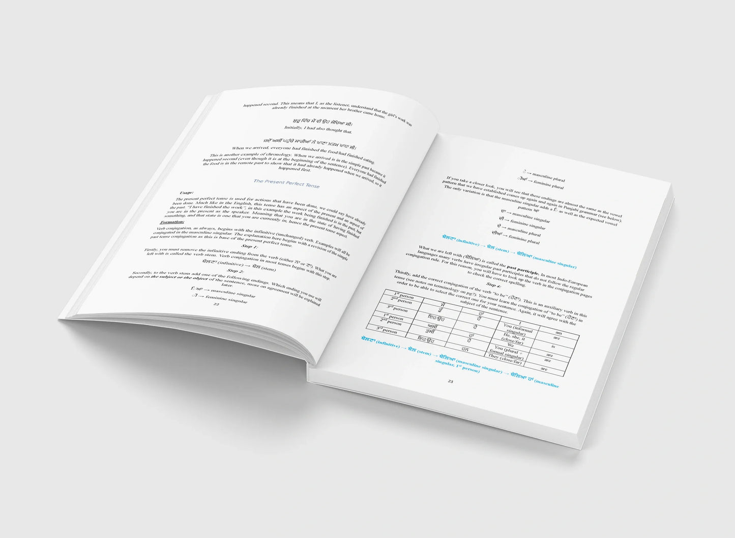 Additional product image: A Comprehensive Guide to Punjabi Verbs - by Asa Willoughby