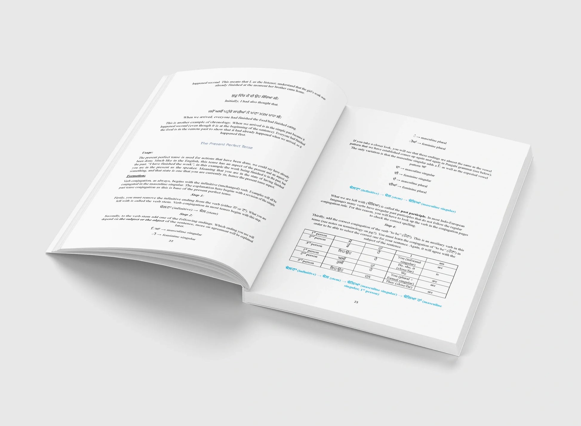 Additional product image: A Comprehensive Guide to Punjabi Verbs - by Asa Willoughby