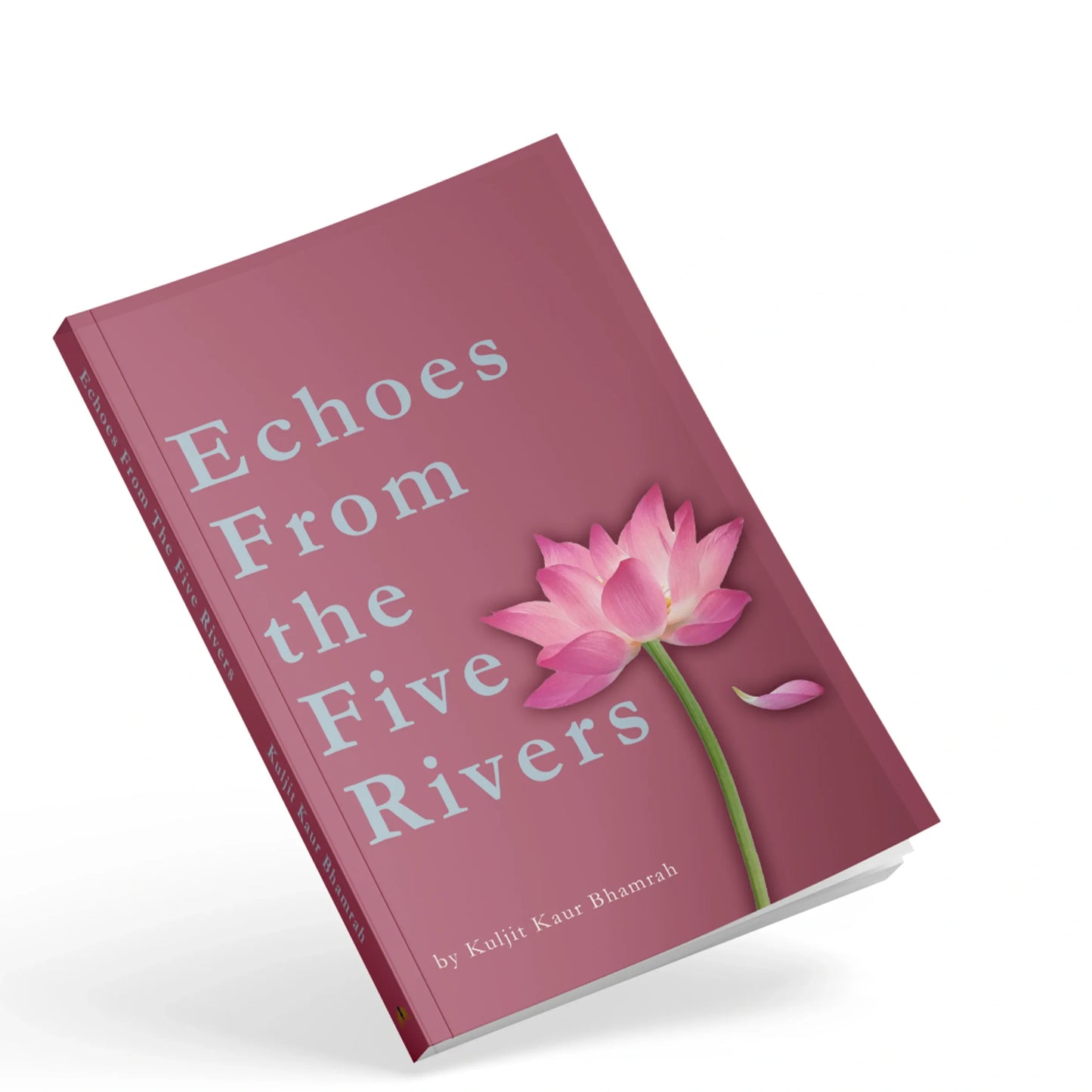 Book cover: Echoes From the Five Rivers